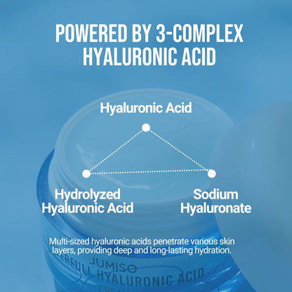 Waterfull Hyaluronic Acid Cream 100ml (Tube)